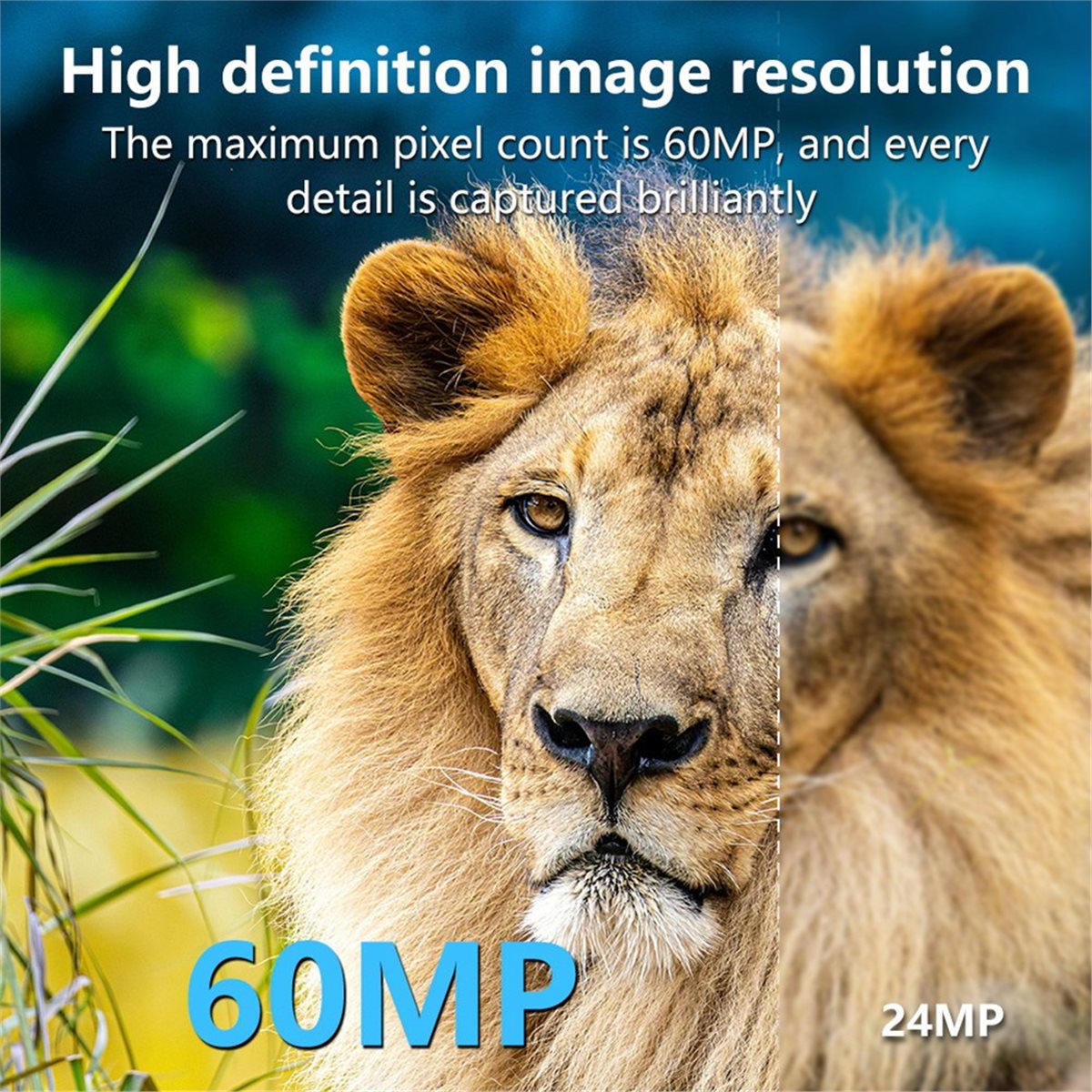 AS62 8K Hunting Camera HD Wild - огляд і ціна Outdoor Hunting Camera Wifi