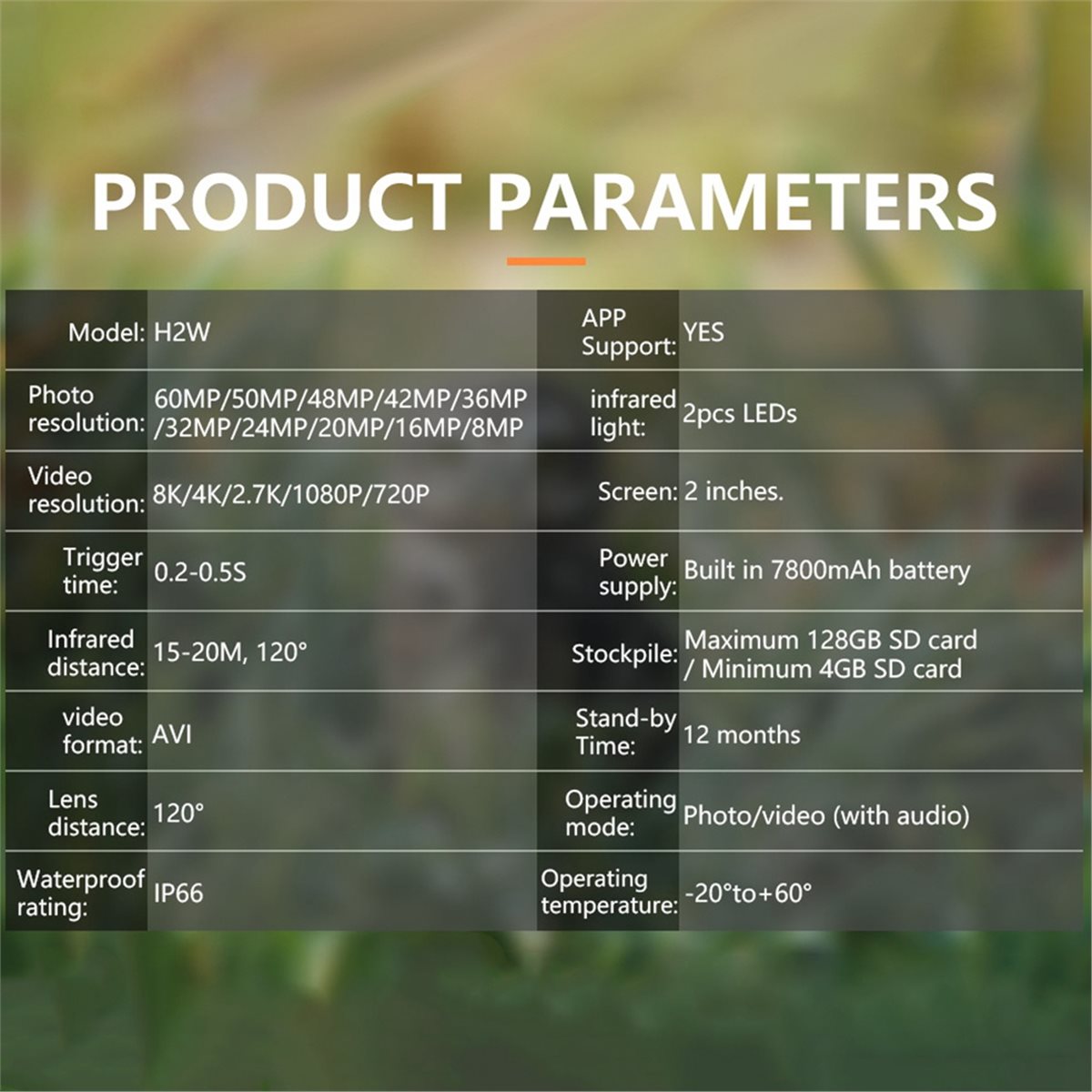 AS62 8K Hunting Camera HD Wild - огляд і ціна Outdoor Hunting Camera Wifi