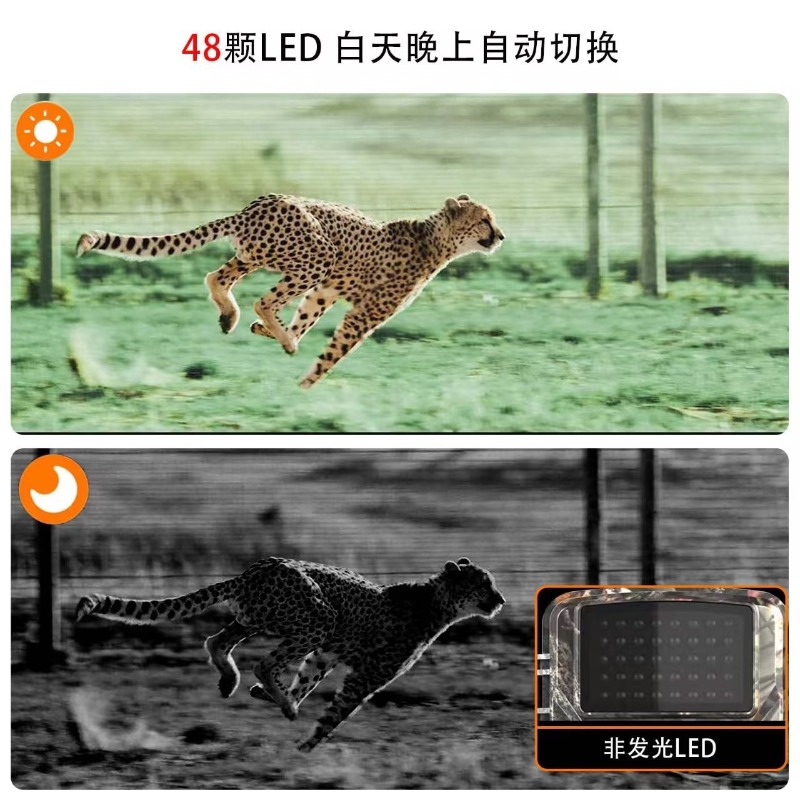 HOT SALE DL001 Hunting Camera  - огляд і ціна Outdoor Hunting Videos