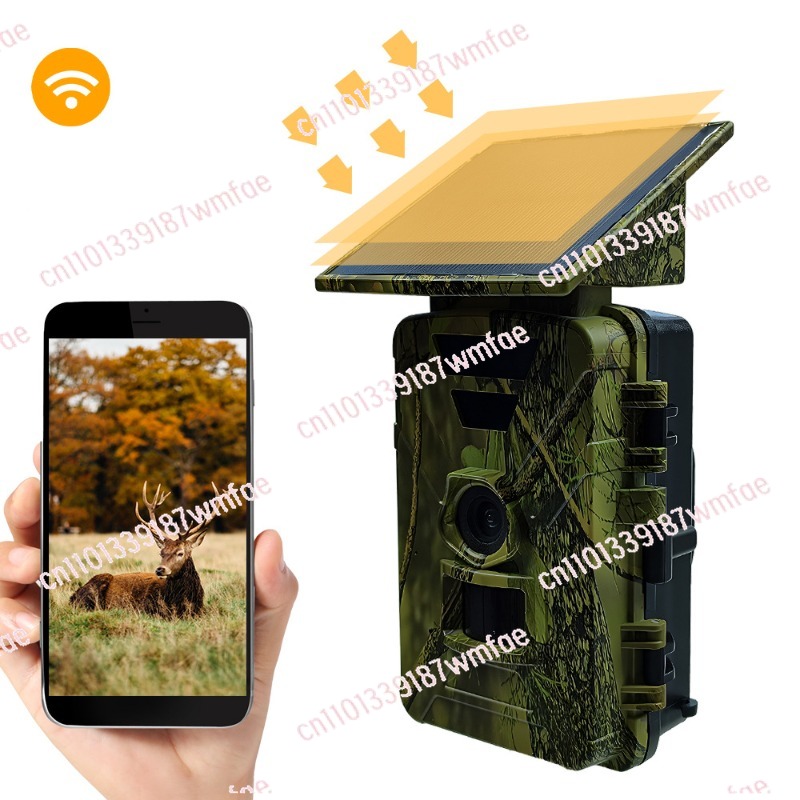 Wildlife Hunting Camera Solar  - огляд і ціна Outdoor Hunting Camera Wifi