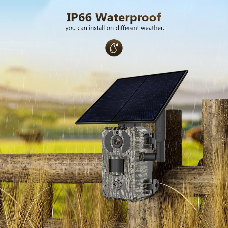 4G 4MP Outdoor Wildlife Huntin - огляд і ціна Outdoor Hunting Camera Wifi
