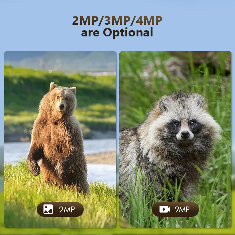 4G 4MP Outdoor Wildlife Huntin - огляд і ціна Outdoor Hunting Camera Wifi