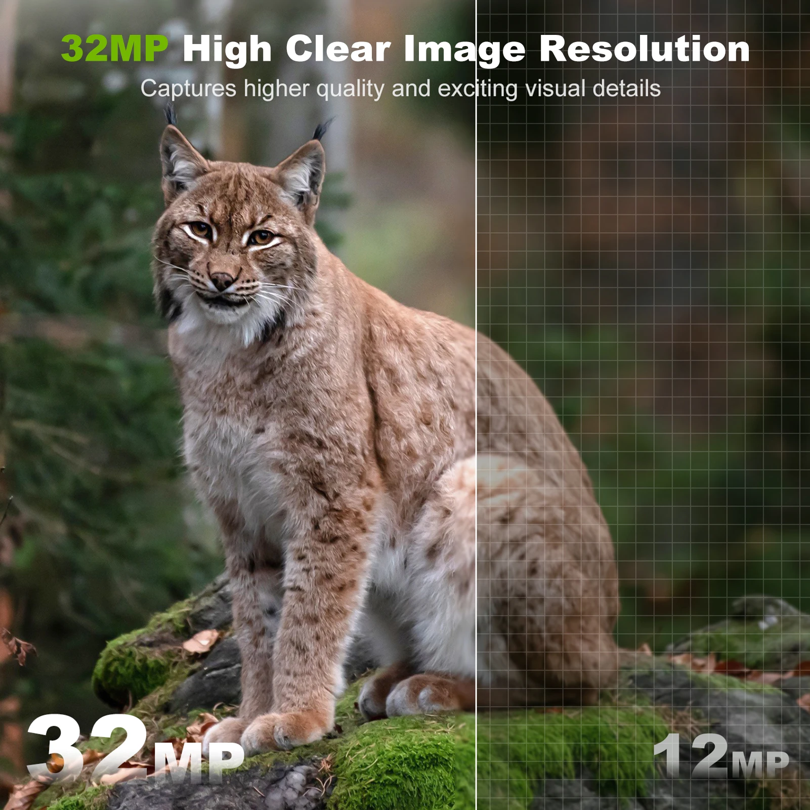 Solar Camera Outdoor Wireless  - огляд і ціна Outdoor Hunting Camera Wifi
